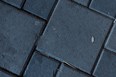 Similar image 21081406