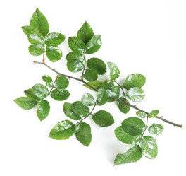 Similar image 21111355