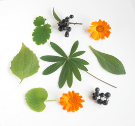 Similar image 21111356