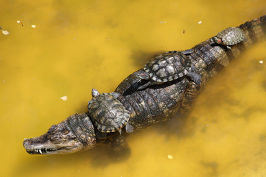 Similar image 21111357