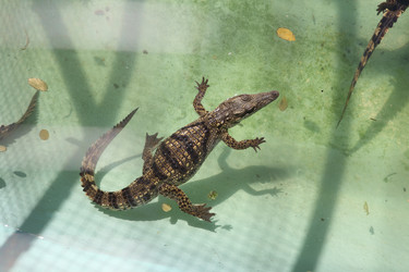 Similar image 21111358