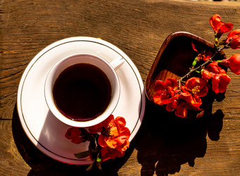 Similar image 21081701