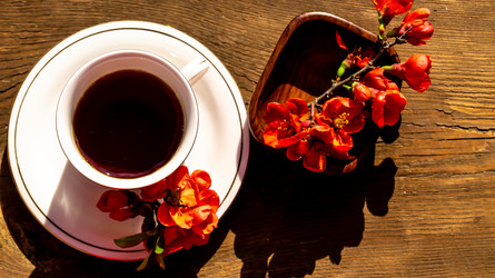 Similar image 21081702