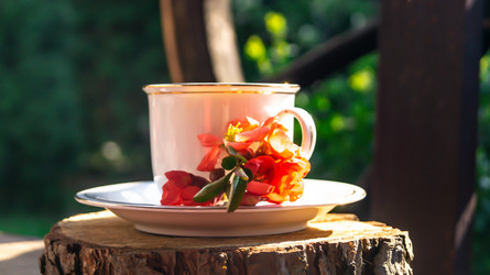 Similar image 21081706