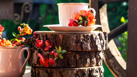 Similar image 21081707