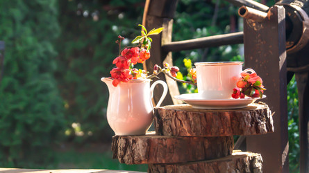 Similar image 21081708