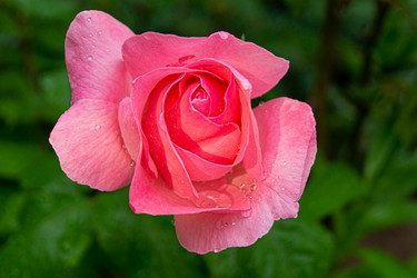 Similar image 21084180