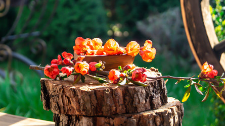 Similar image 21084181