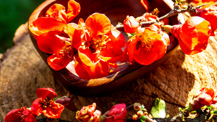 Similar image 21084184