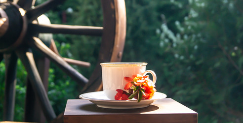 Similar image 21081711