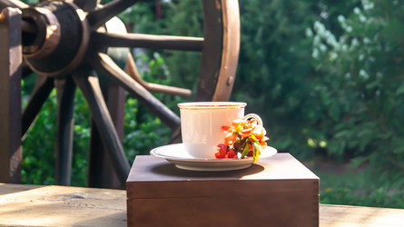 Similar image 21081712