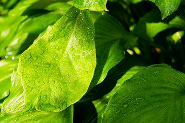 Similar image 21081714