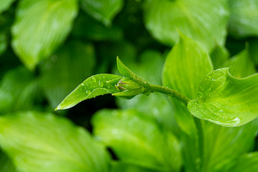 Similar image 21081717