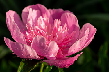 Similar image 21082298