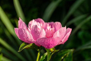 Similar image 21081718