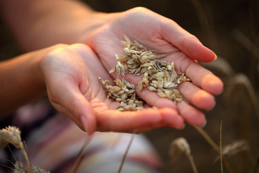 Similar image 21083685