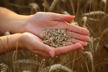 Similar image 21083714