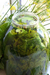 Similar image 21121594