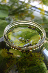 Similar image 21121595