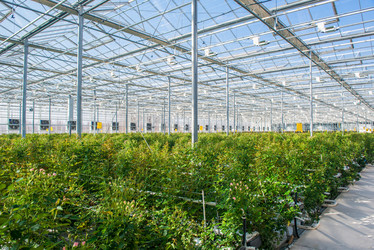 Similar image 21127385