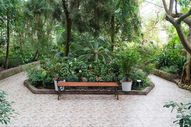 Similar image 21118200