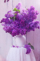 Similar image 21083718