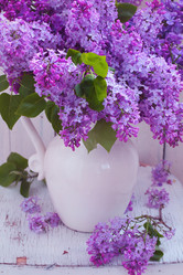 Similar image 21083719