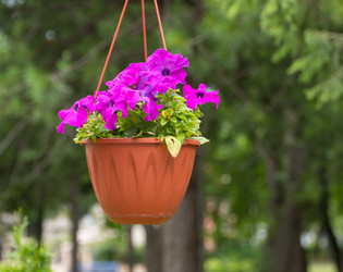 Similar image 21117882