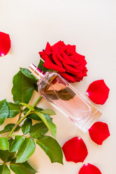 Similar image 21090759