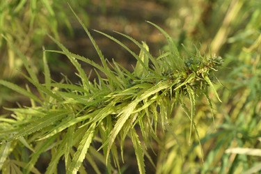 Similar image 21083722