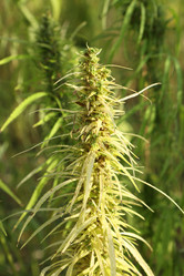 Similar image 21083723