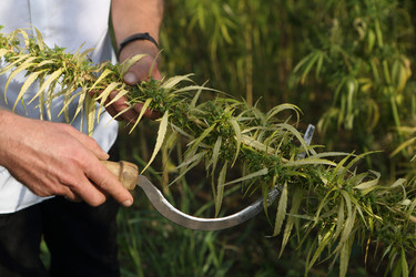 Similar image 21111390