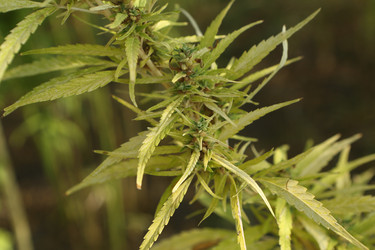 Similar image 21083762