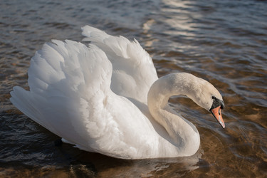 Similar image 21081410