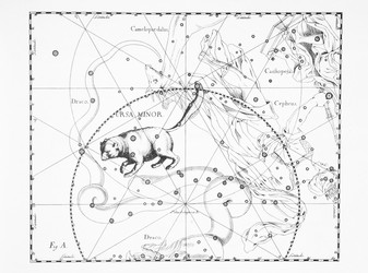 Similar image 21127424