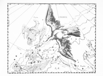 Similar image 21127432