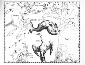 Similar image 21127445