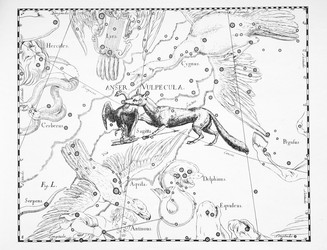 Similar image 21127446