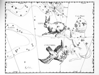 Similar image 21127447