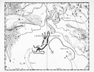 Similar image 21127448