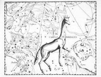 Similar image 21127452