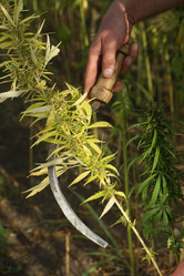 Similar image 21083608