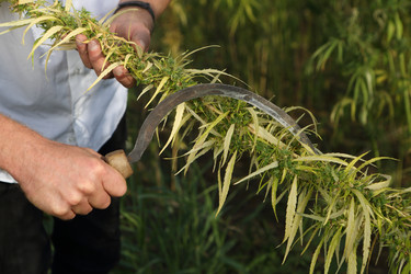 Similar image 21083609