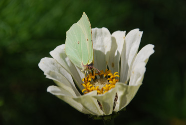 Similar image 21089907