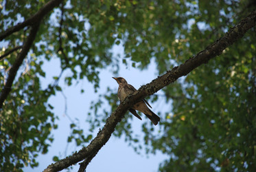 Similar image 21089909