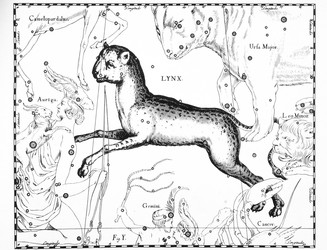 Similar image 21119818