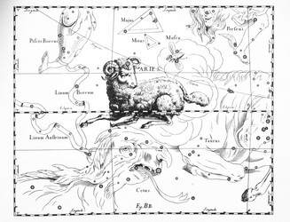 Similar image 21119821