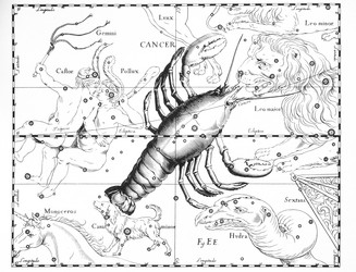 Similar image 21119824