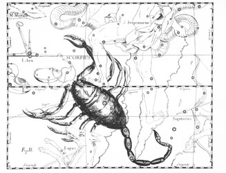 Similar image 21119828