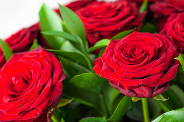 Similar image 21119846